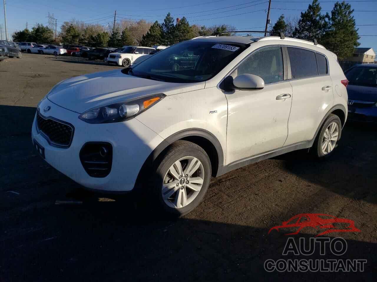 KIA SPORTAGE 2017 - KNDPMCAC3H7244547