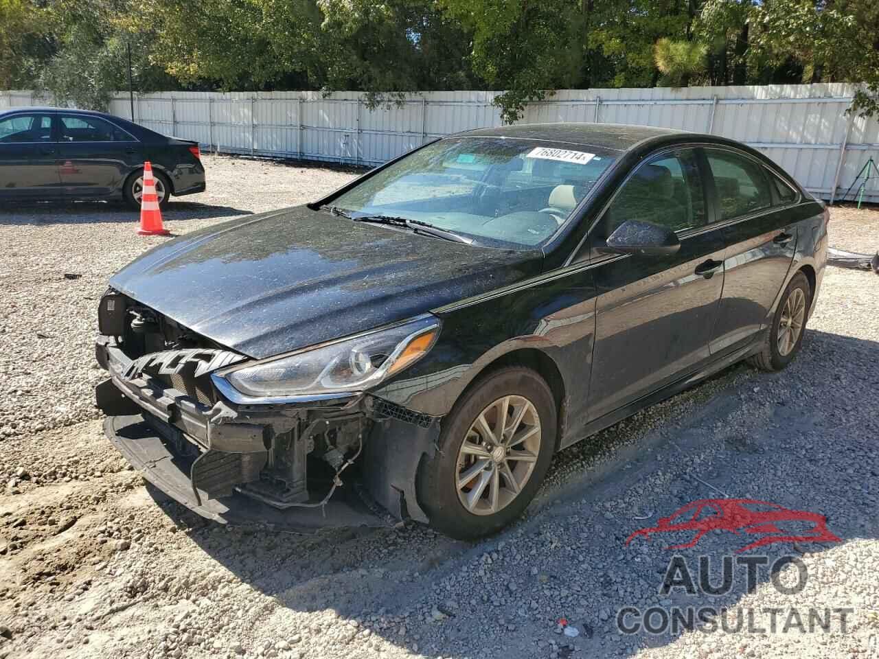 HYUNDAI SONATA 2019 - 5NPE24AF2KH817843