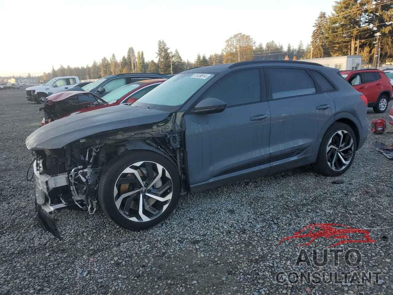 AUDI Q8 E-TRON 2024 - WA16AAGE0RB028245