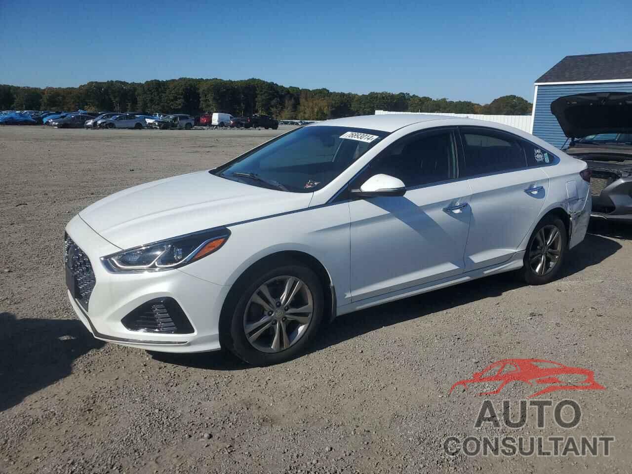 HYUNDAI SONATA 2019 - 5NPE34AF8KH781556