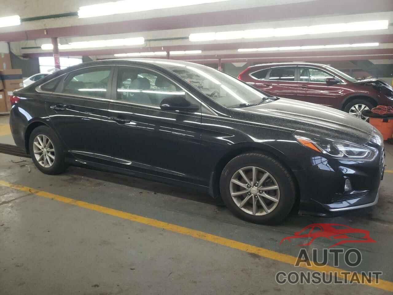 HYUNDAI SONATA 2019 - 5NPE24AF6KH734075