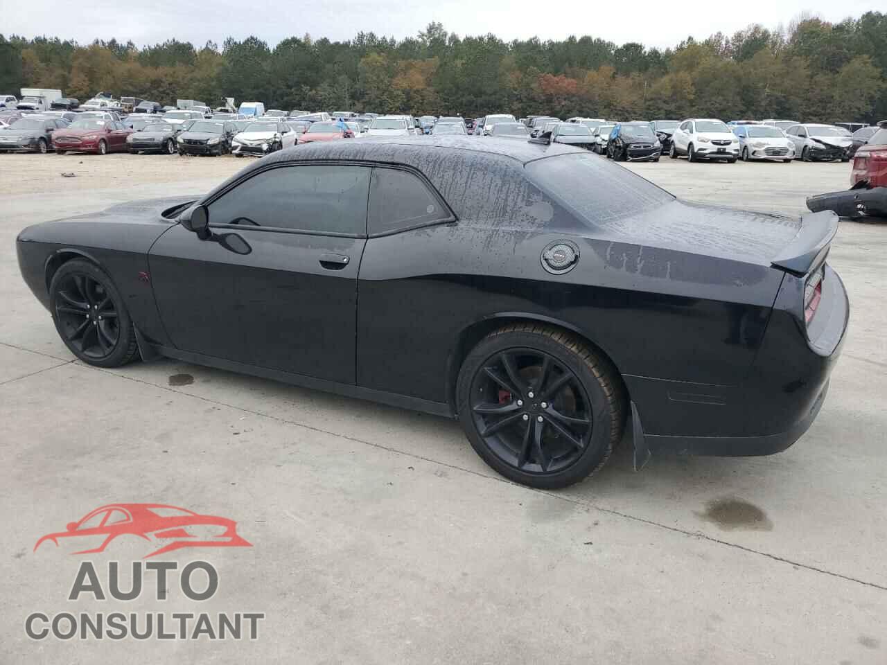 DODGE CHALLENGER 2017 - 2C3CDZAG2HH665950