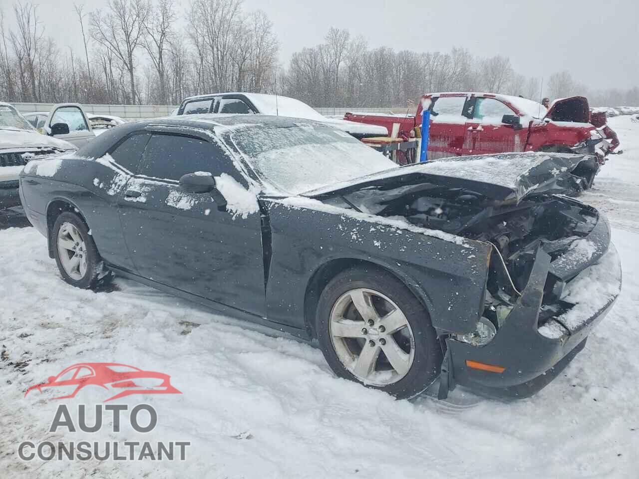 DODGE CHALLENGER 2014 - 2C3CDYBT1EH304095
