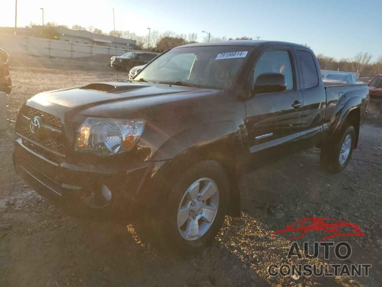 TOYOTA TACOMA 2011 - 5TFUU4EN8BX007645