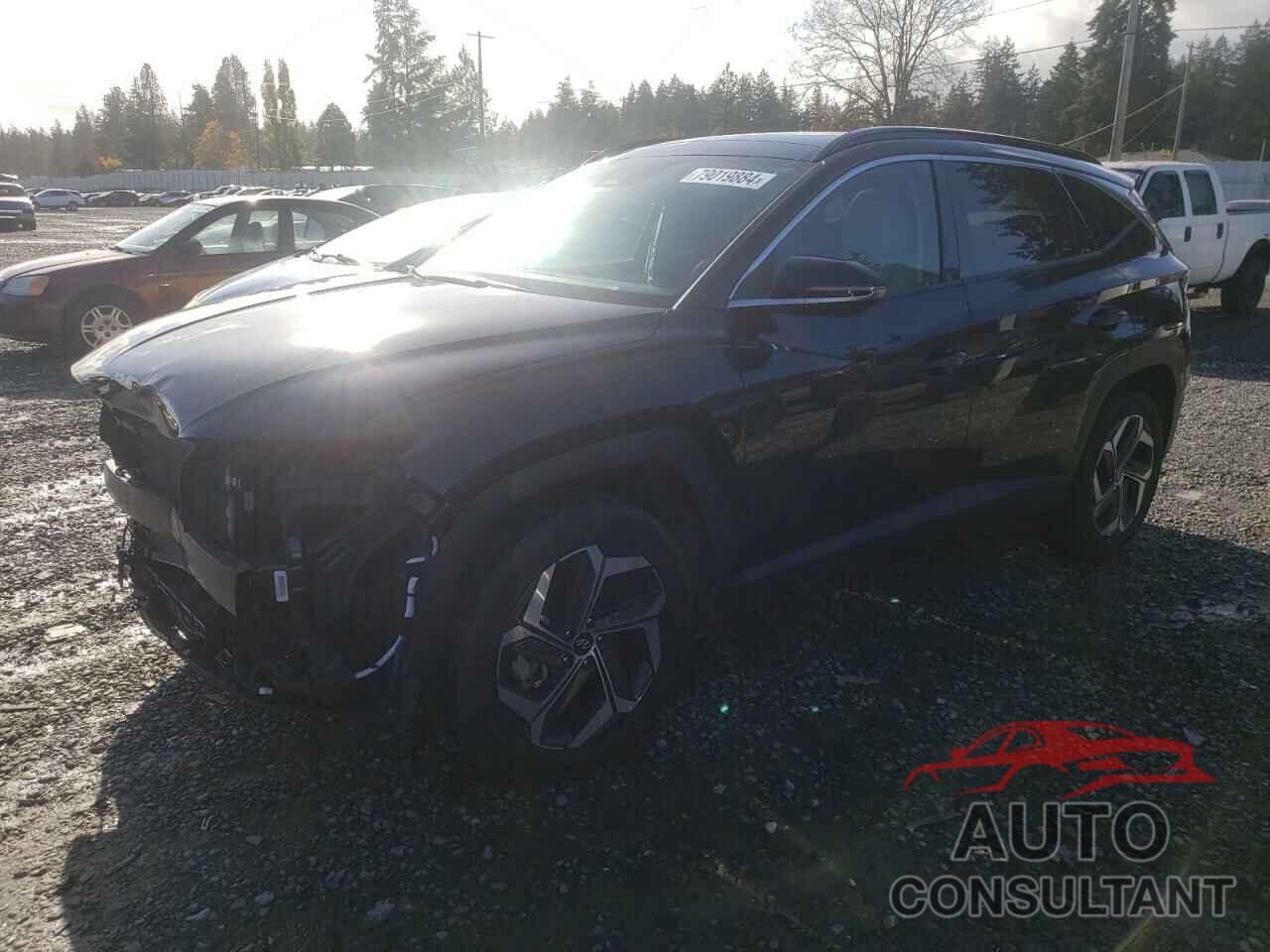 HYUNDAI TUCSON 2023 - 5NMJECAE3PH173278