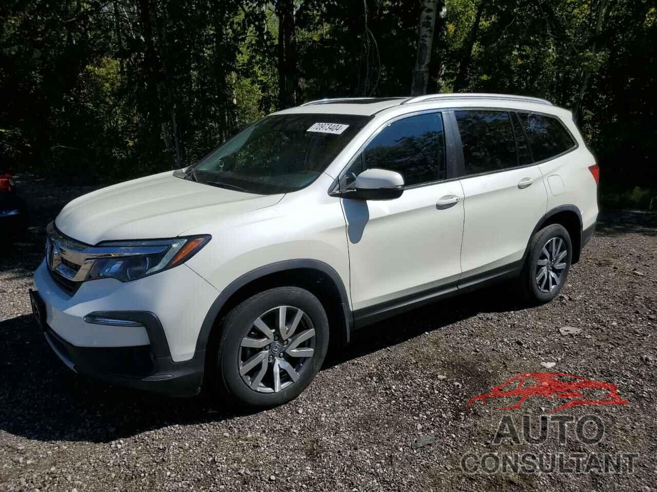 HONDA PILOT 2019 - 5FNYF6H7XKB500726