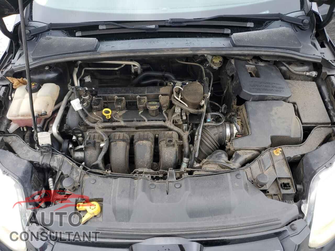 FORD FOCUS 2012 - 1FAHP3M25CL292829