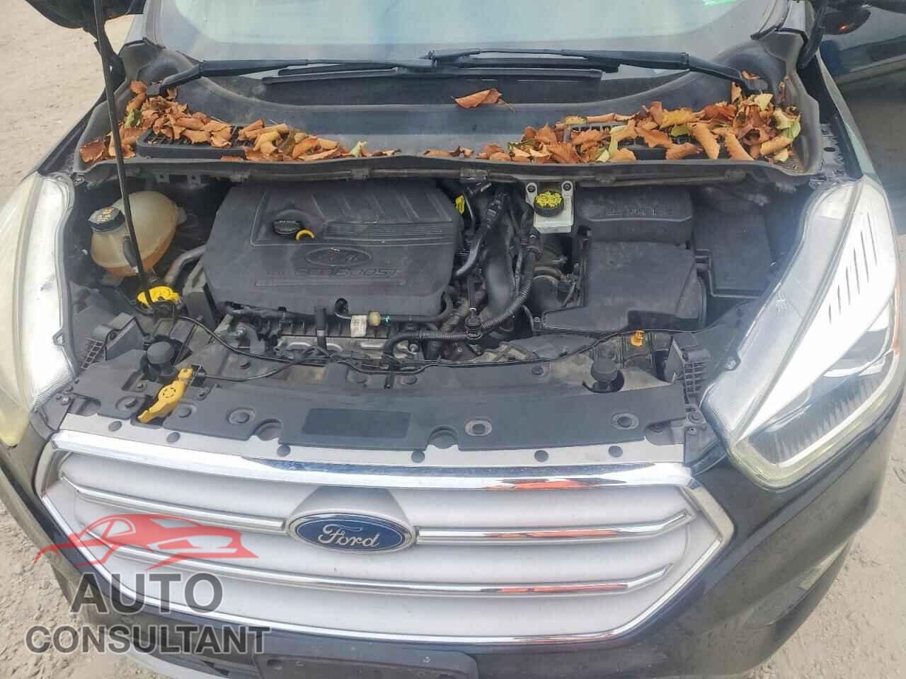 FORD ESCAPE 2017 - 1FMCU0JD2HUC07802