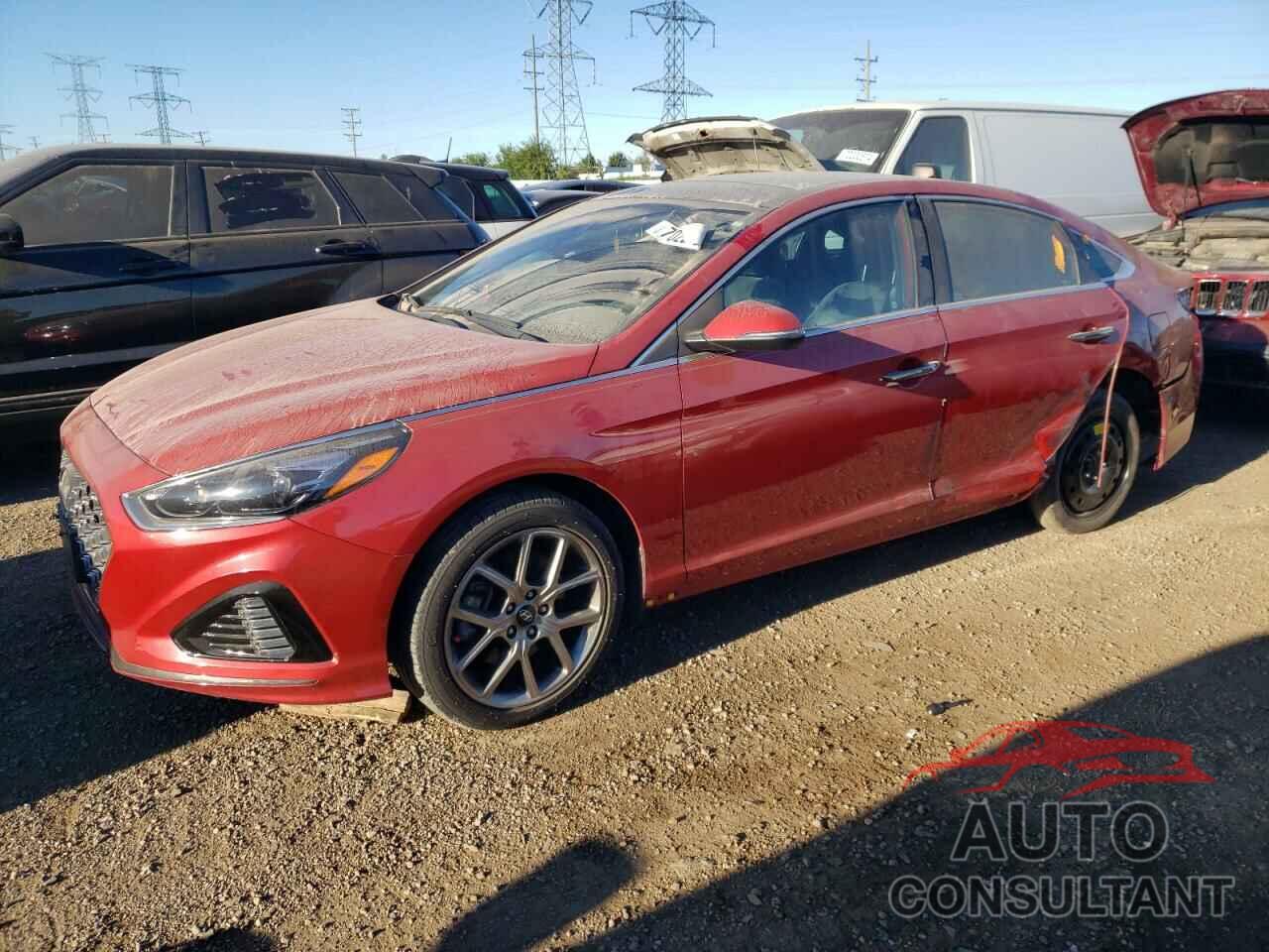 HYUNDAI SONATA 2019 - 5NPE34AB7KH793551