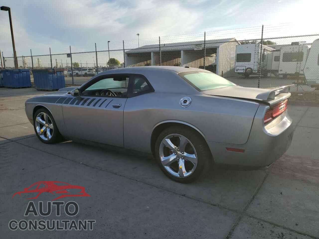 DODGE CHALLENGER 2013 - 2C3CDYBT2DH728559