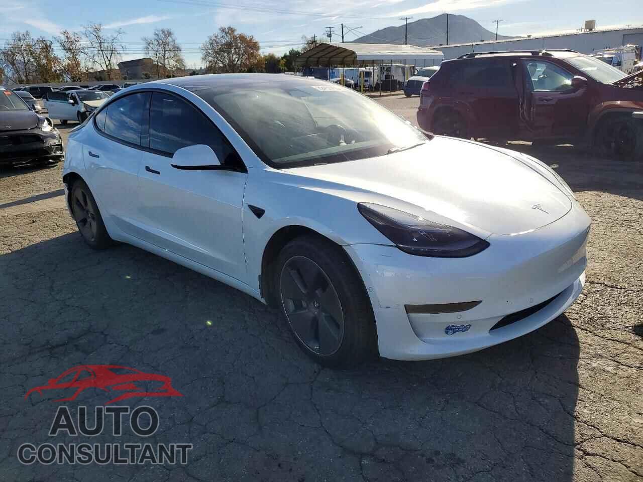 TESLA MODEL 3 2021 - 5YJ3E1EA2MF873746