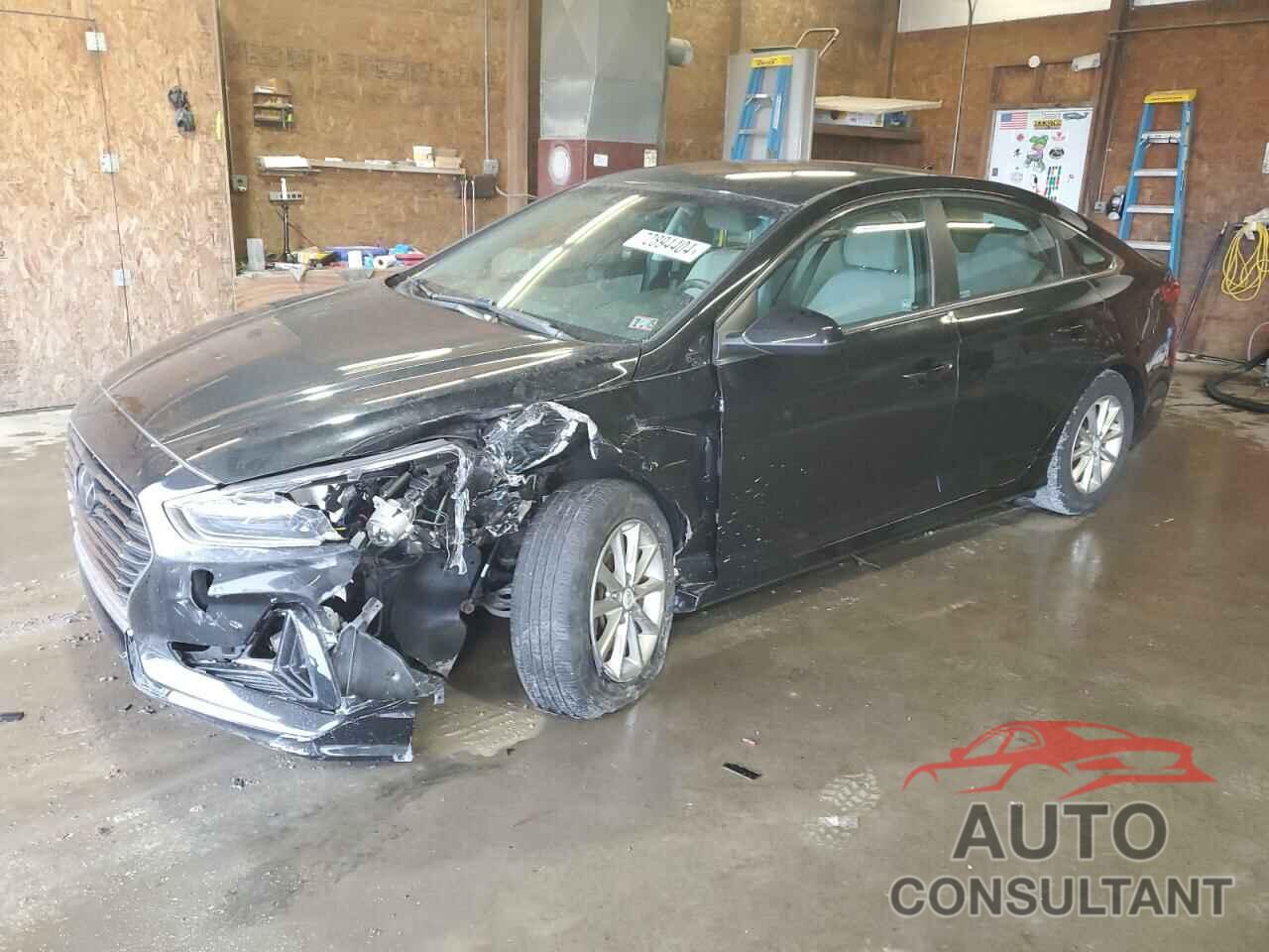 HYUNDAI SONATA 2019 - 5NPE24AF3KH767504