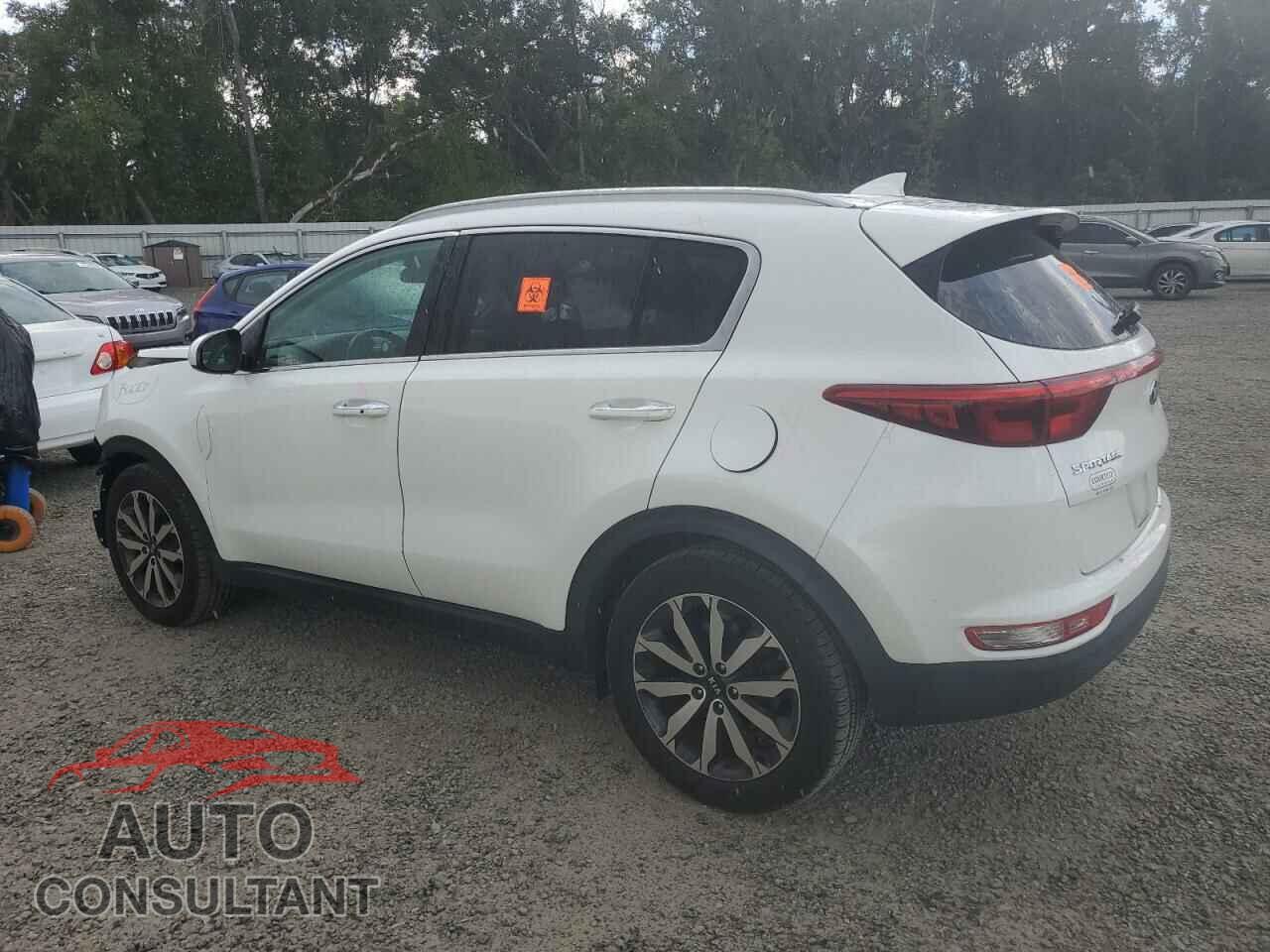 KIA SPORTAGE 2017 - KNDPN3AC8H7075820