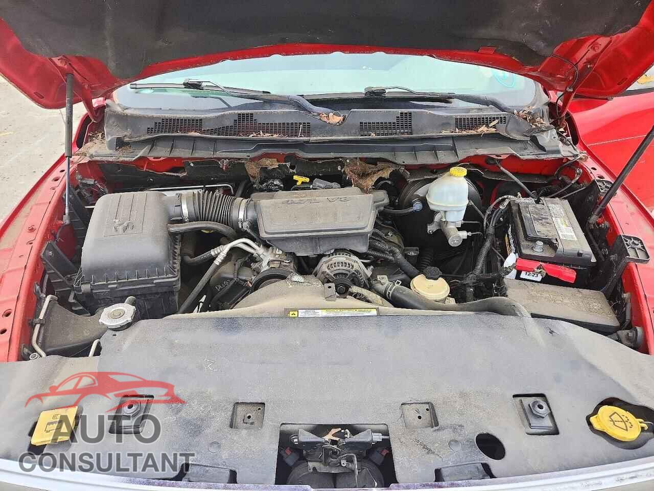 DODGE RAM 1500 2010 - 1D7RB1GP8AS134485
