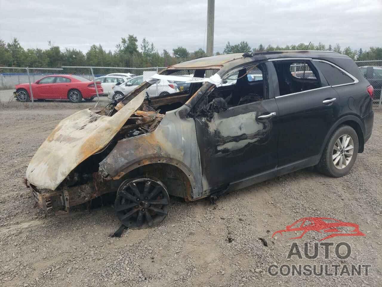 KIA SORENTO 2019 - 5XYPGDA31KG456239