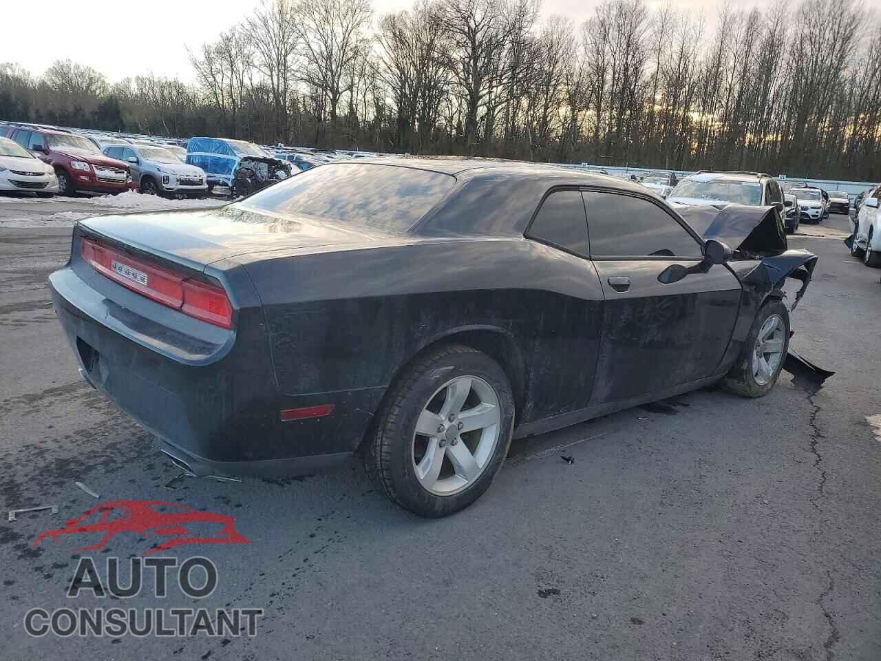 DODGE CHALLENGER 2013 - 2C3CDYAG4DH607665