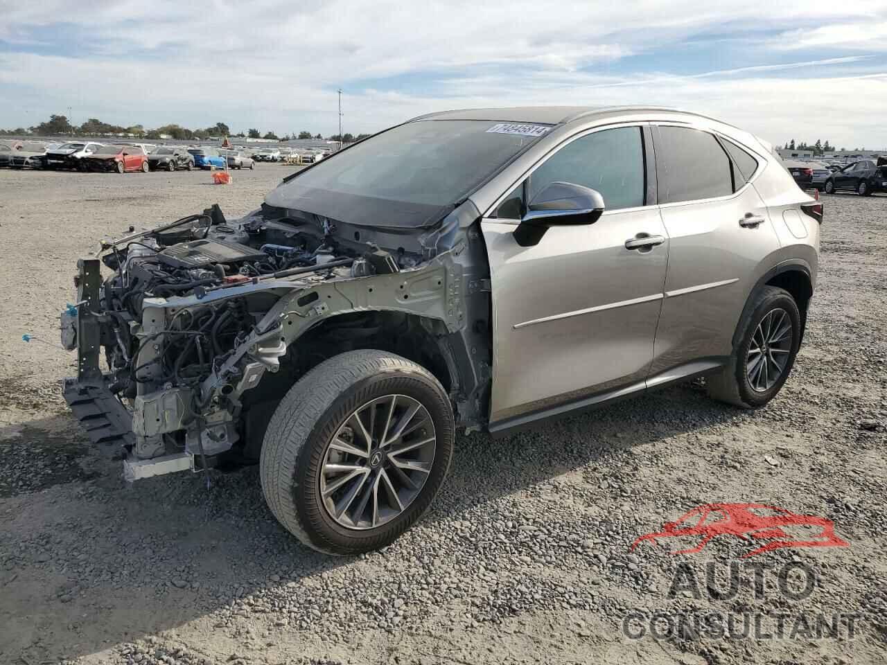 LEXUS NX 250 2023 - 2T2ADCAZ9PC003952