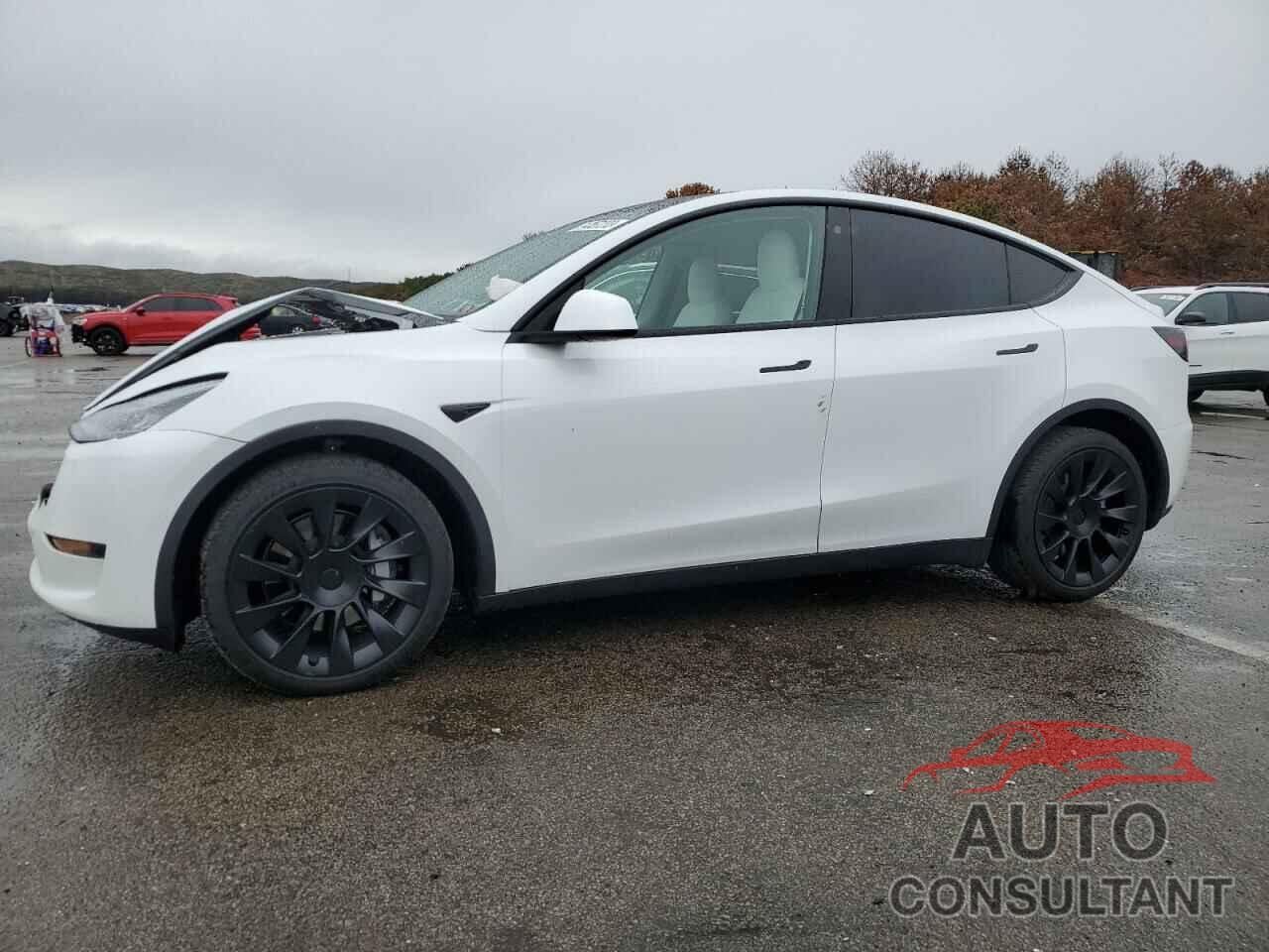 TESLA MODEL Y 2021 - 5YJYGDEE8MF202764