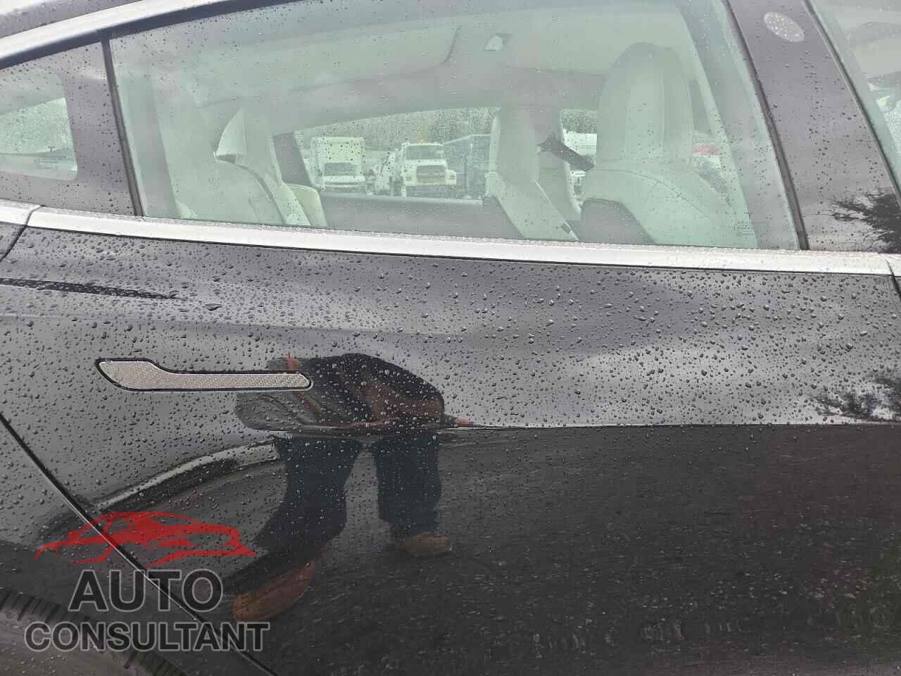 TESLA MODEL 3 2019 - 5YJ3E1EA1KF324570