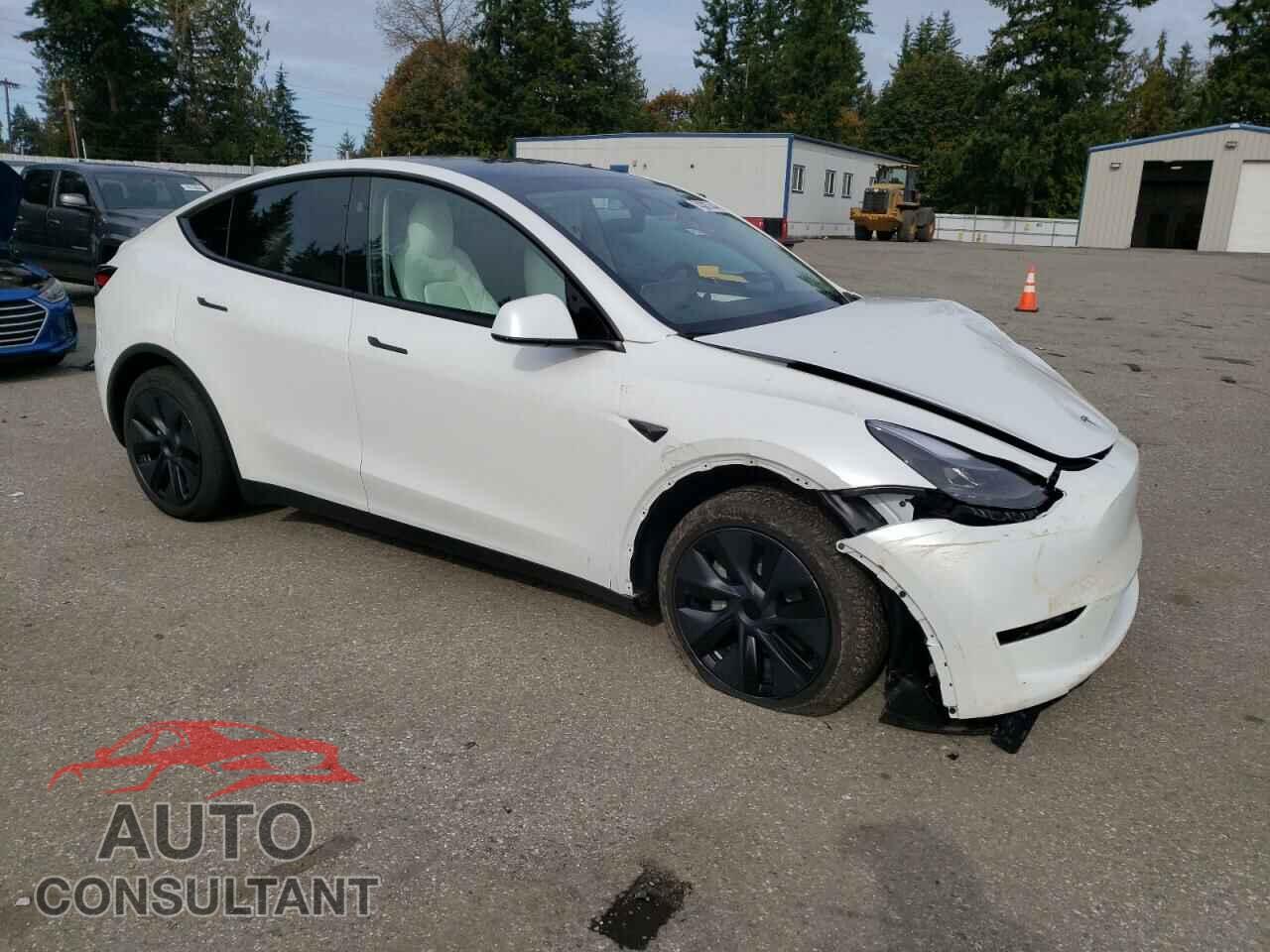 TESLA MODEL Y 2024 - 7SAYGDEE6RF114547