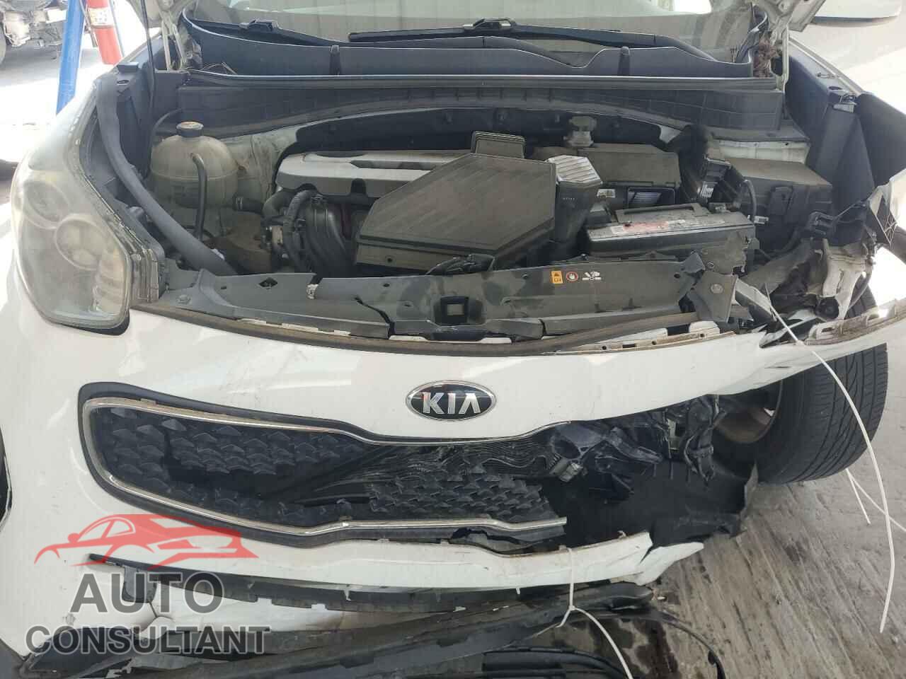 KIA SPORTAGE 2017 - KNDPM3AC4H7063473
