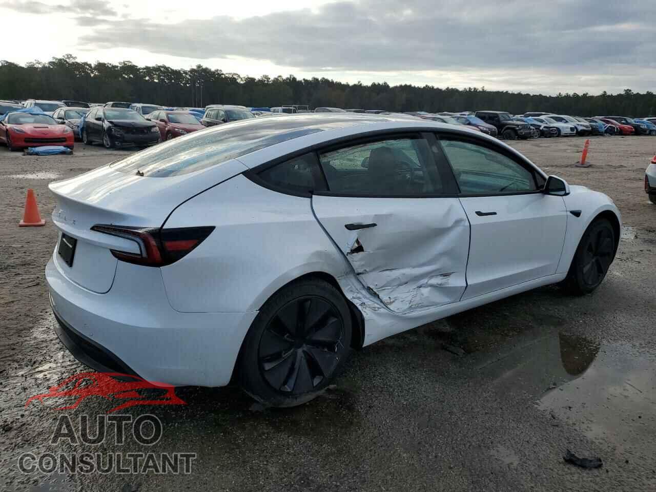 TESLA MODEL 3 2024 - 5YJ3E1EA4RF825415