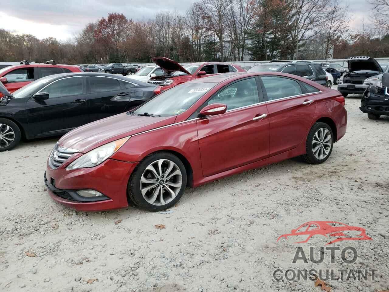 HYUNDAI SONATA 2014 - 5NPEC4AB3EH868427