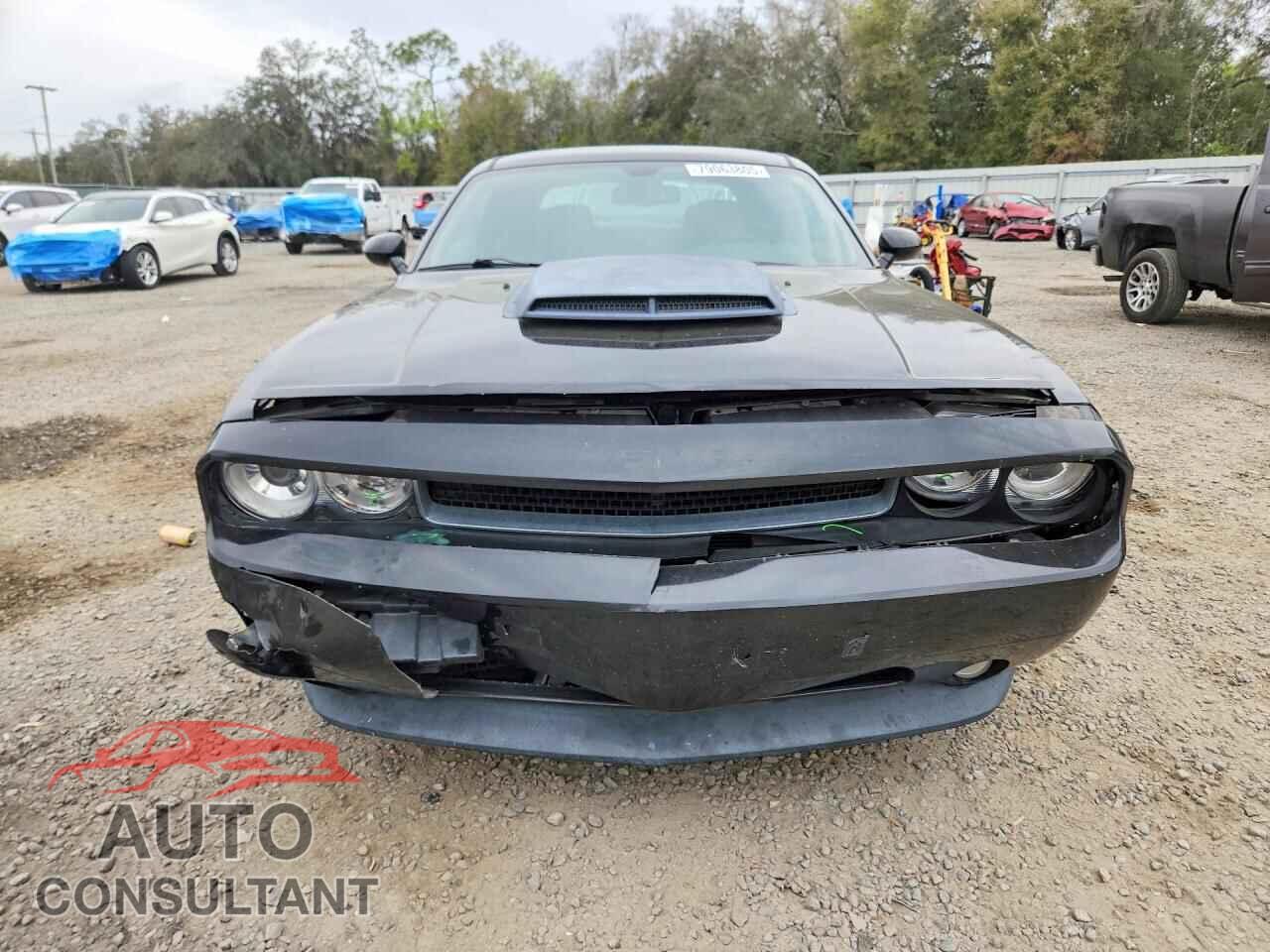 DODGE CHALLENGER 2011 - 2B3CJ5DTXBH541004