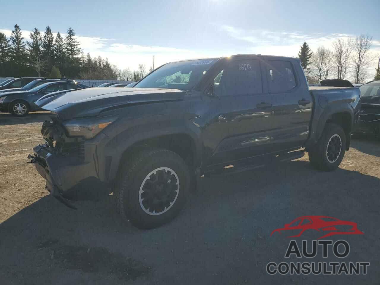 TOYOTA TACOMA 2024 - 3TYLB5JN9RT019269