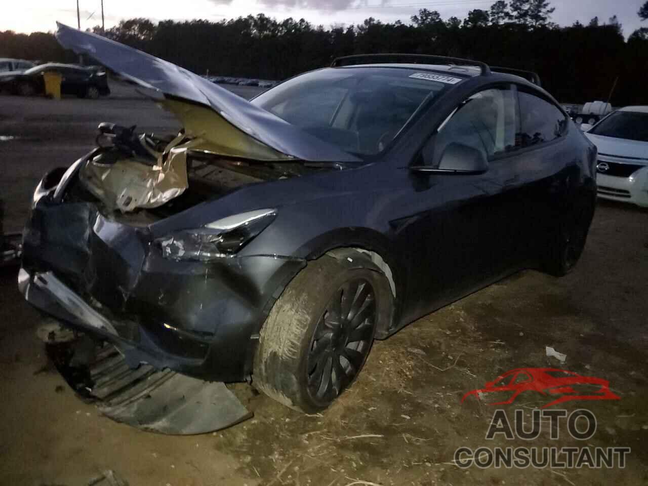 TESLA MODEL Y 2023 - 7SAYGDEFXPF941618