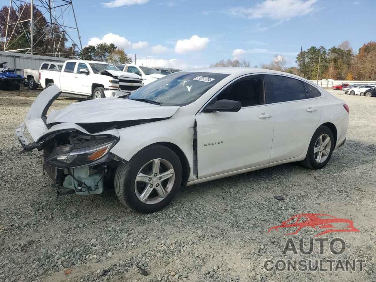 CHEVROLET MALIBU 2019 - 1G1ZB5ST7KF220993