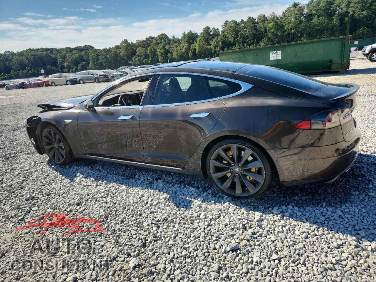 TESLA MODEL S 2013 - 5YJSA1CP9DFP07397