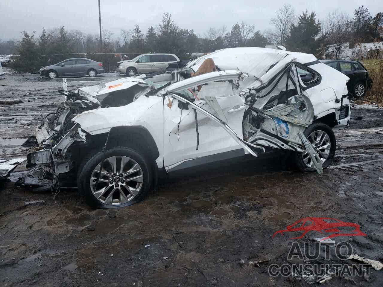 TOYOTA RAV4 2019 - 2T3A1RFV0KC025604
