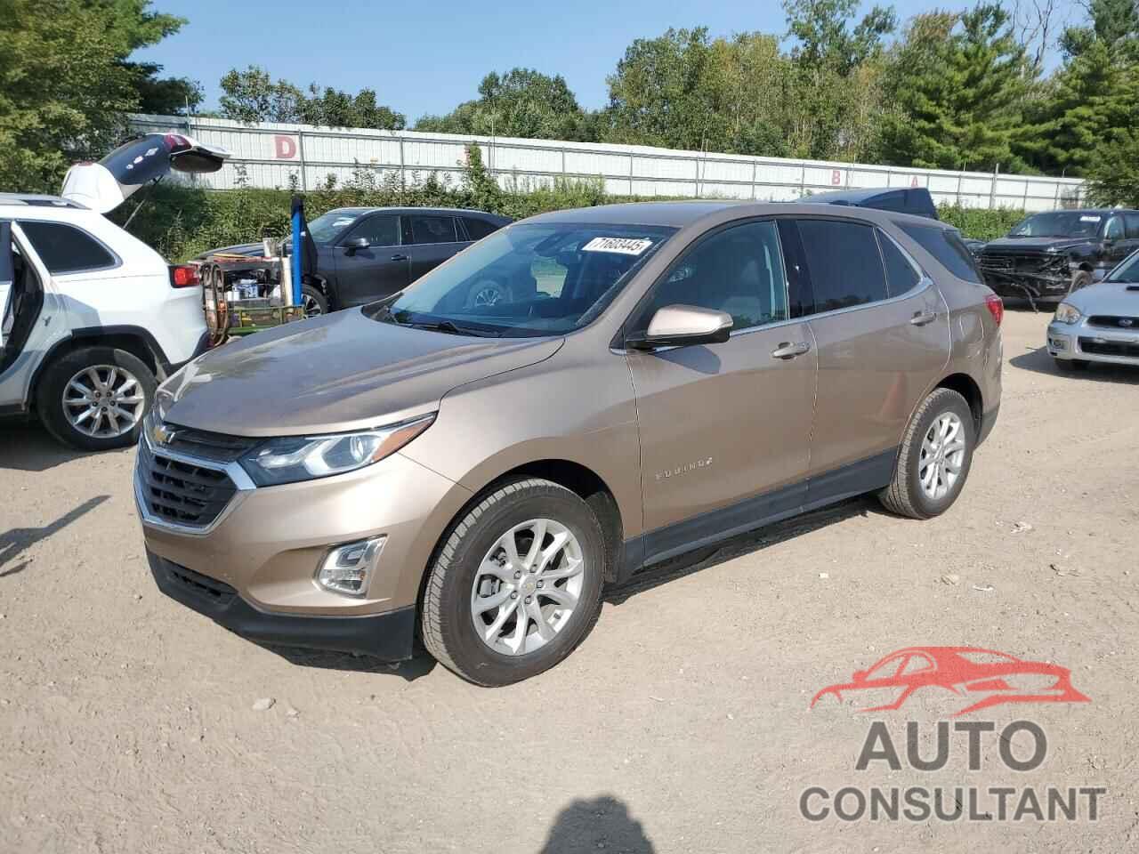 CHEVROLET EQUINOX 2019 - 2GNAXJEV0K6263486