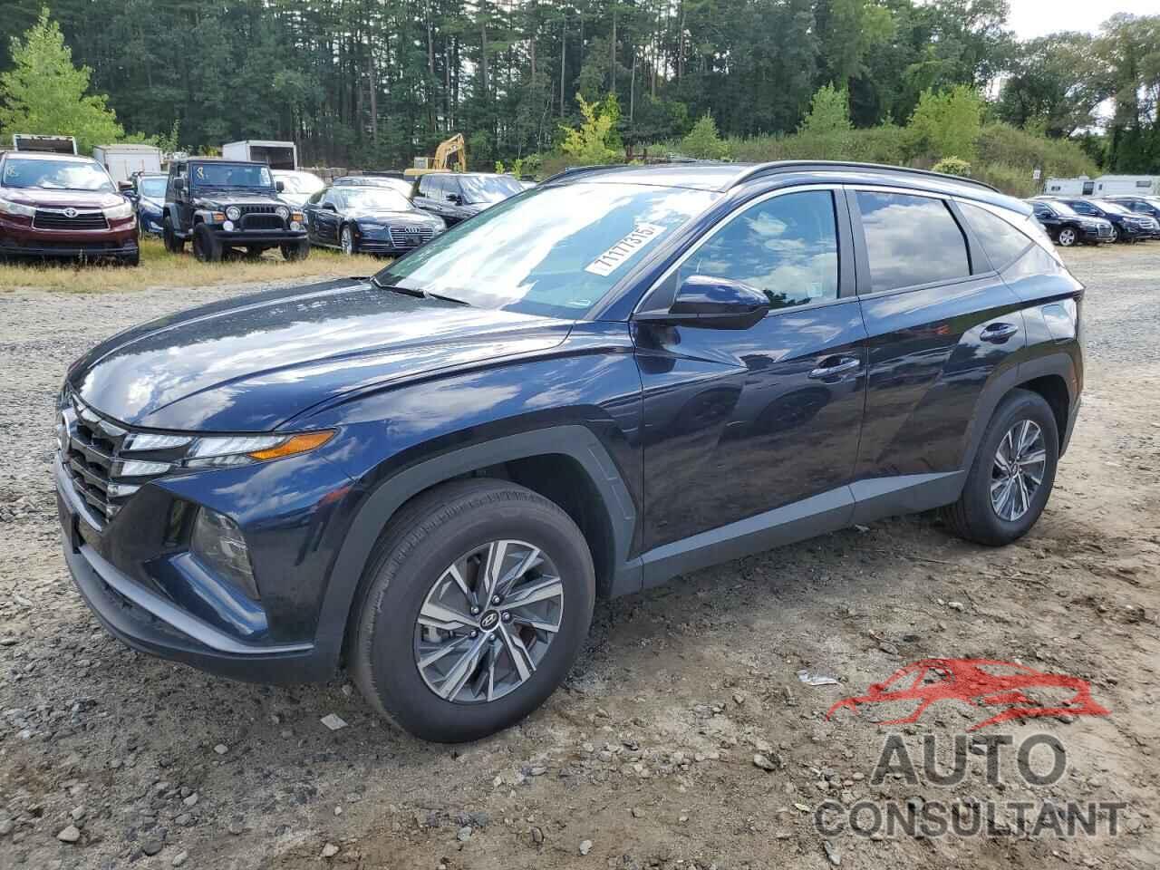 HYUNDAI TUCSON 2024 - KM8JBCD17RU228713