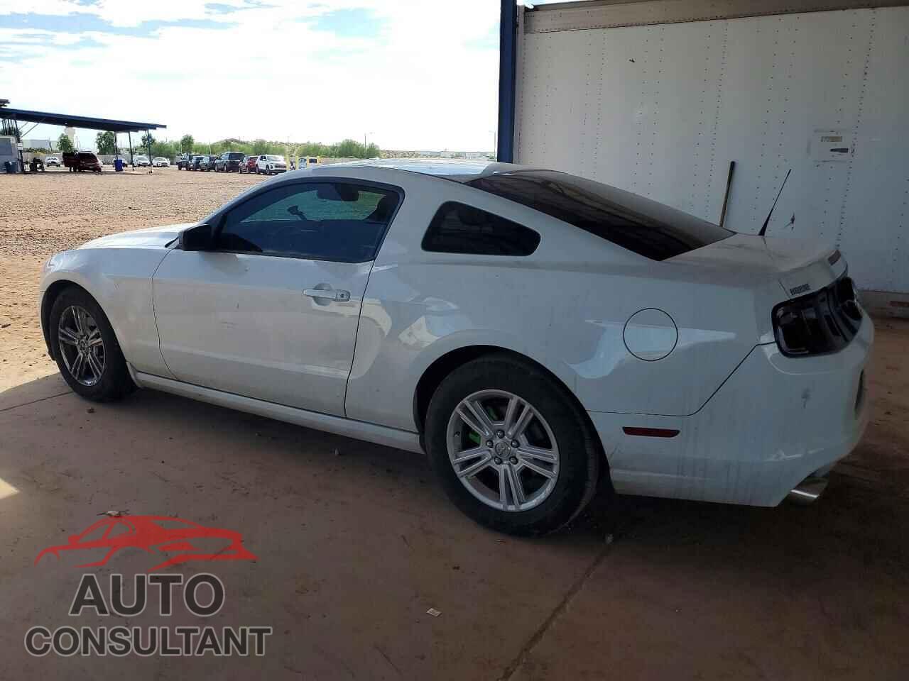 FORD MUSTANG 2014 - 1ZVBP8AM6E5205205