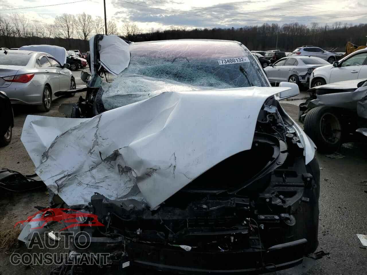 TESLA MODEL X 2020 - 5YJXCBE21LF248940