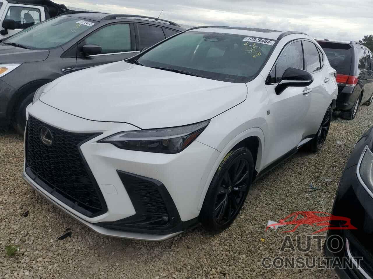 LEXUS NX 350 LUX 2024 - 2T2KGCEZ8RC044923