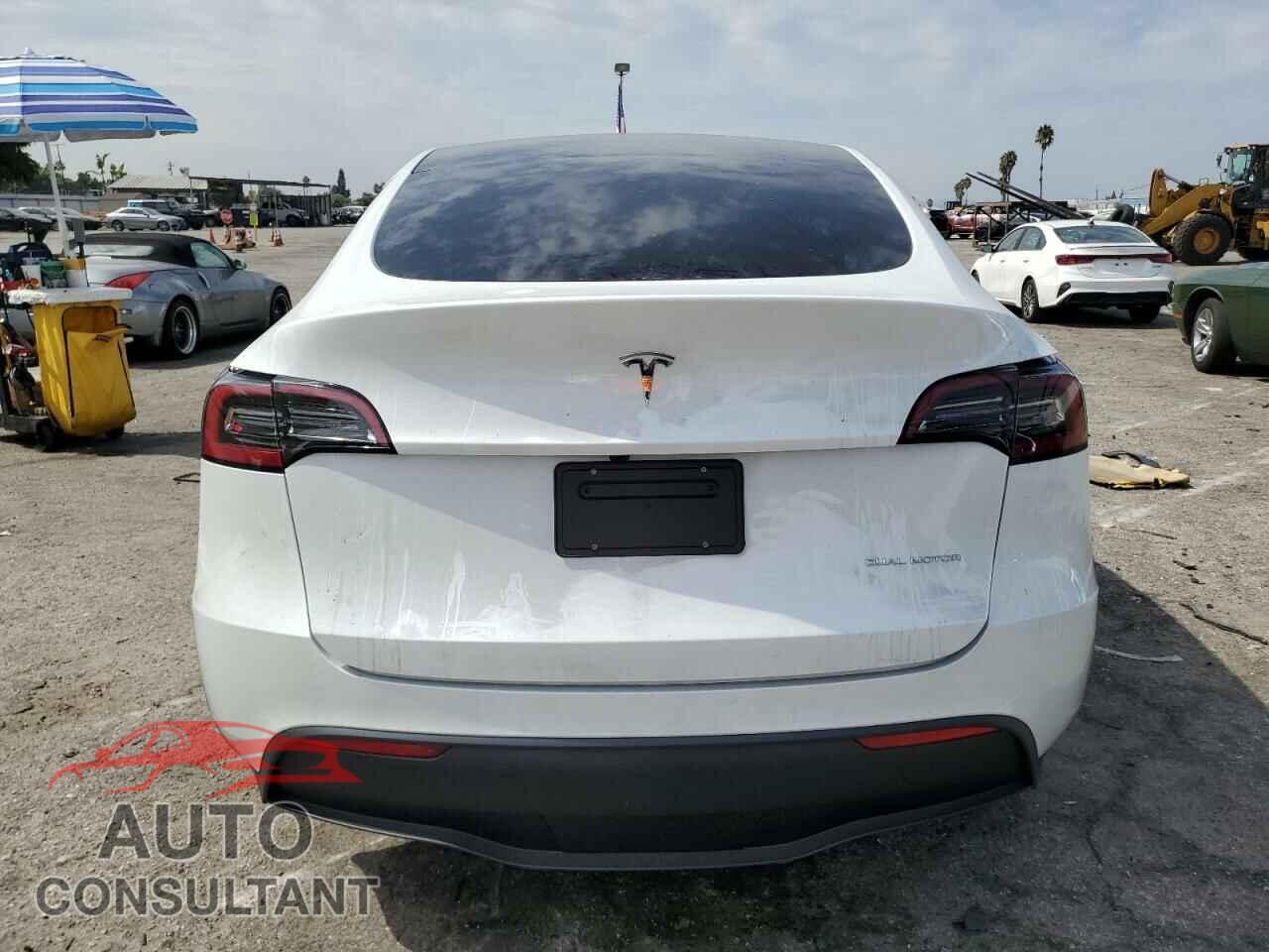TESLA MODEL Y 2024 - 7SAYGDEE5RF131663