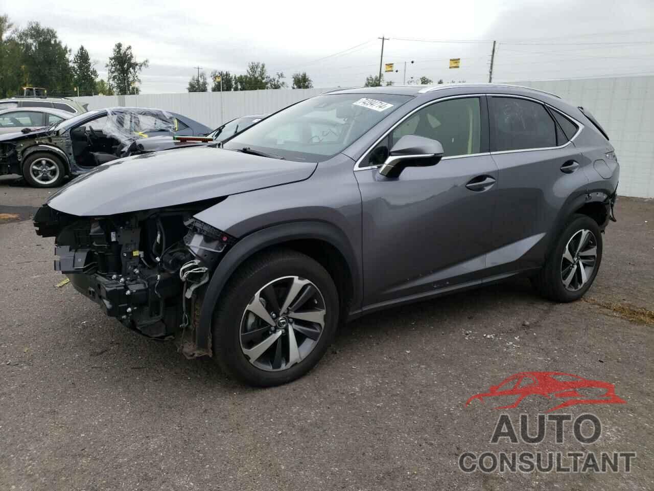 LEXUS NX 2019 - JTJBARBZ1K2183208