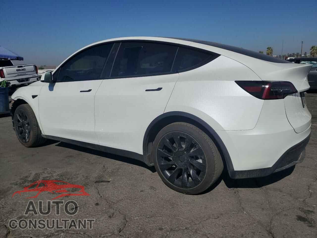 TESLA MODEL Y 2024 - 7SAYGDEE2RF067145