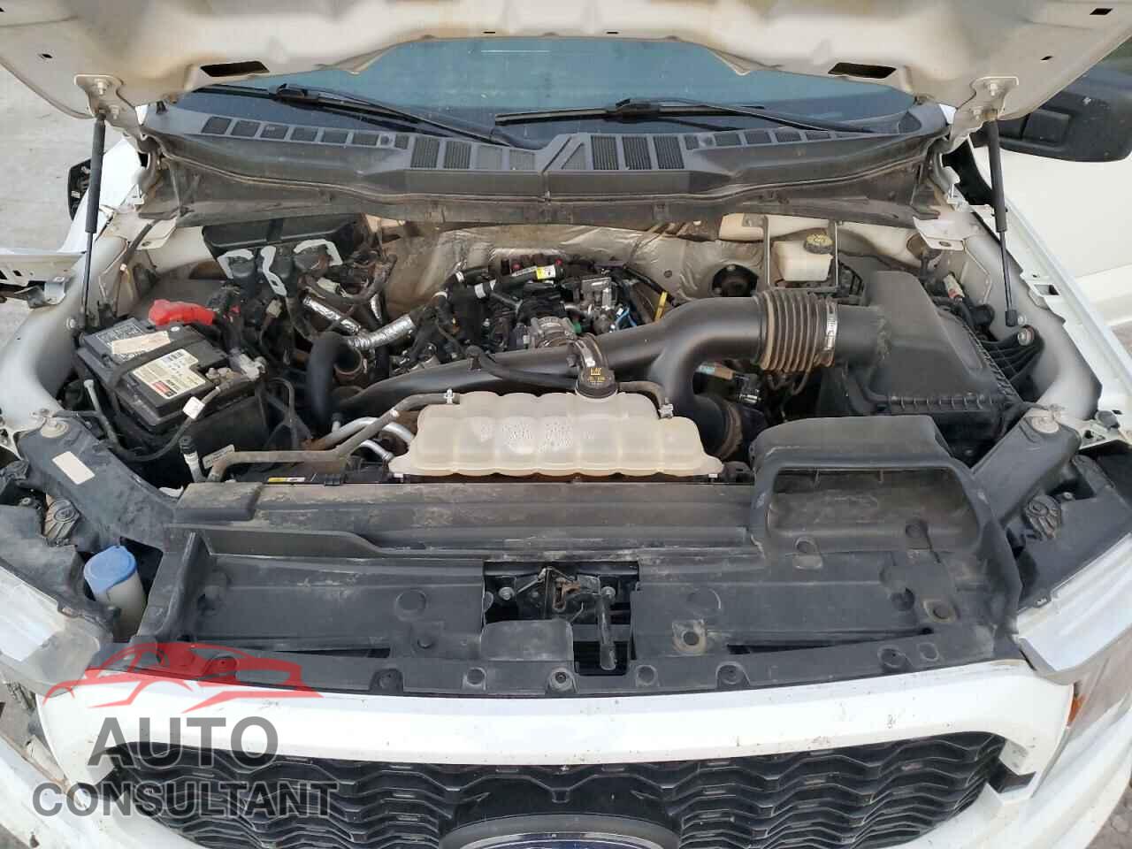 FORD F-150 2021 - 1FTEW1EP1MFA69167