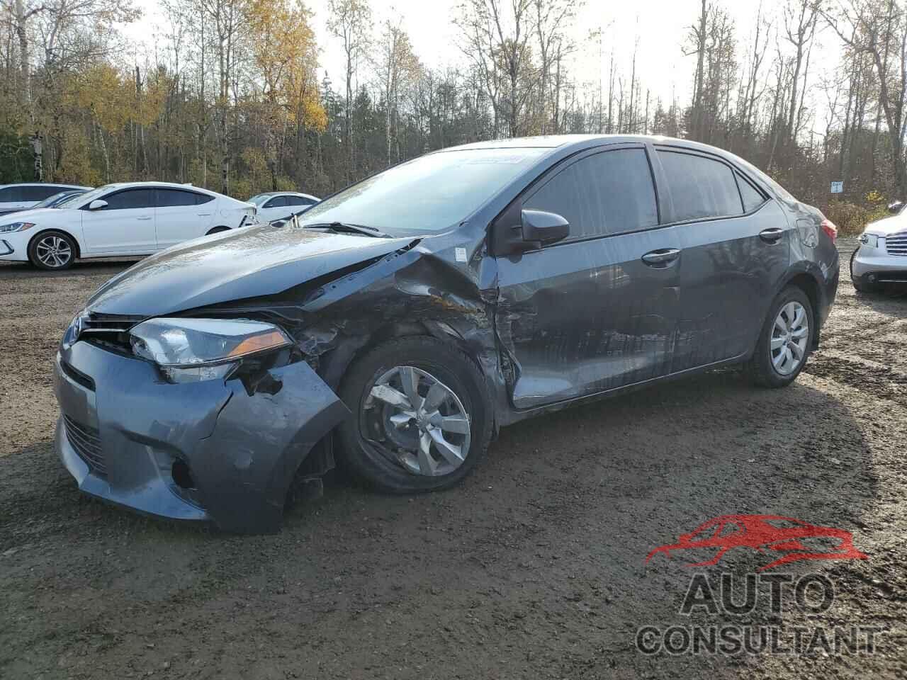 TOYOTA COROLLA 2016 - 2T1BURHE8GC674544