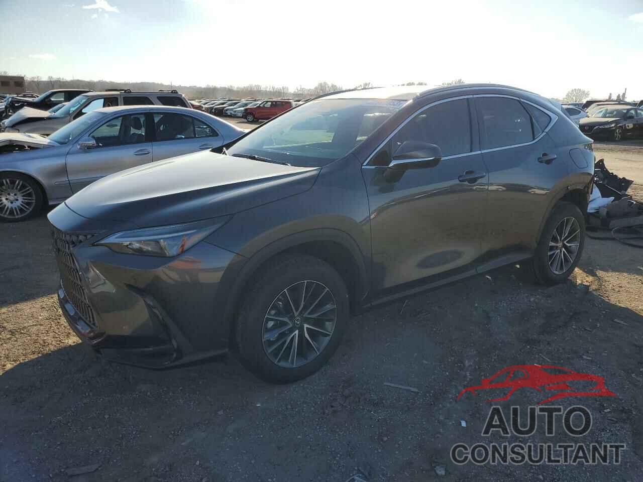 LEXUS NX 350 2022 - 2T2GGCEZ8NC009055