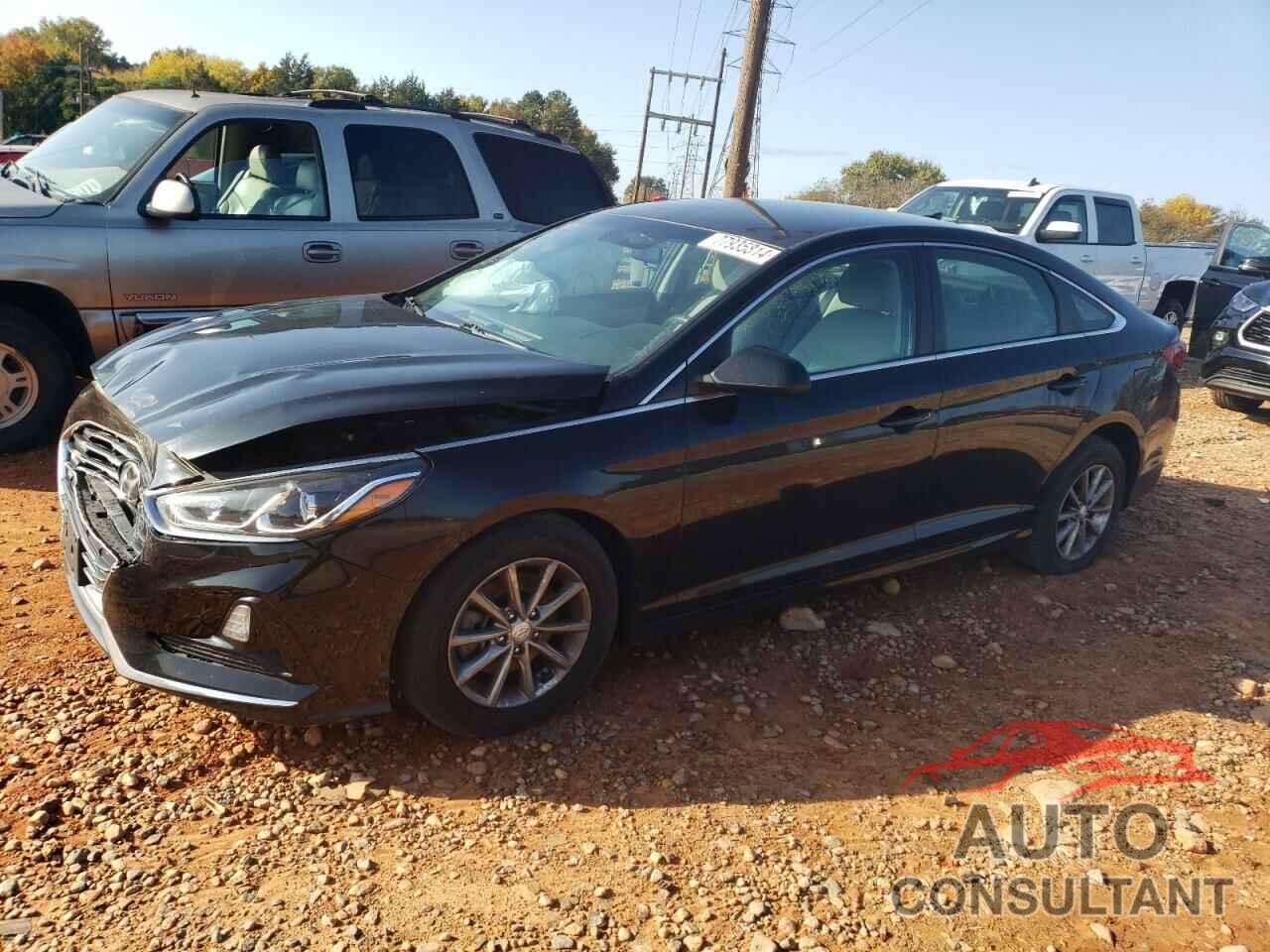 HYUNDAI SONATA 2019 - 5NPE24AF8KH762749