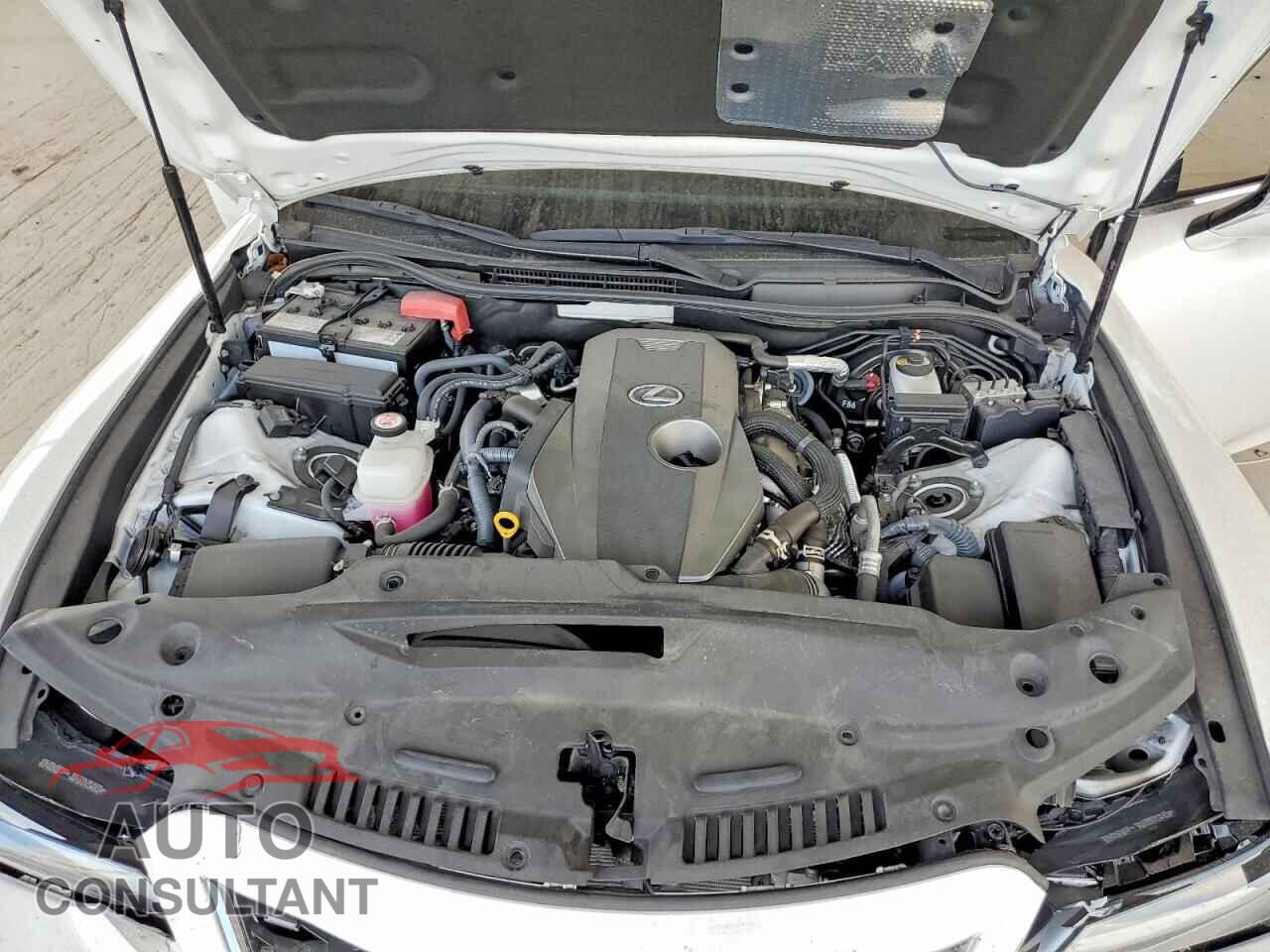 LEXUS IS 2024 - JTHCA1D2XR5131284