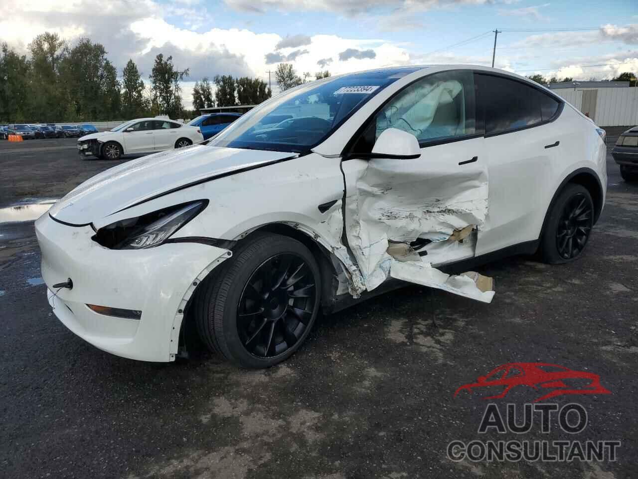 TESLA MODEL Y 2021 - 5YJYGAEE6MF293452