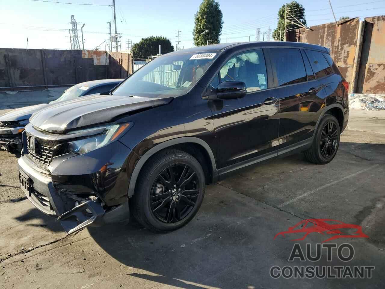 HONDA PASSPORT 2019 - 5FNYF7H23KB003236