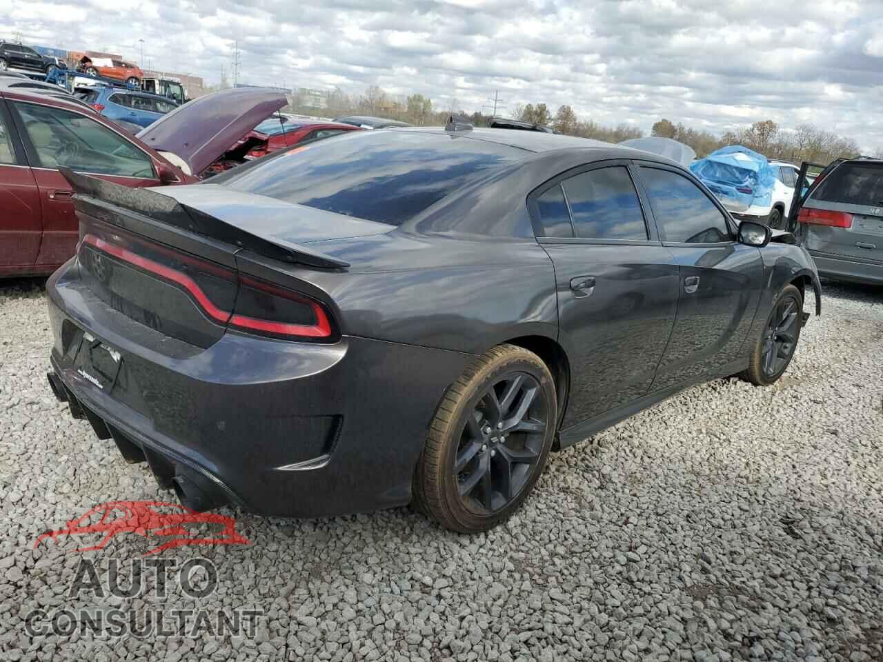 DODGE CHARGER 2019 - 2C3CDXCTXKH643183