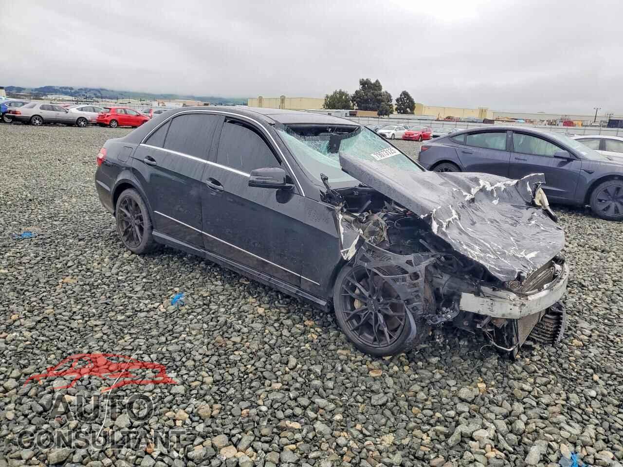 MERCEDES-BENZ E-CLASS 2010 - WDDHF9AB7AA160609
